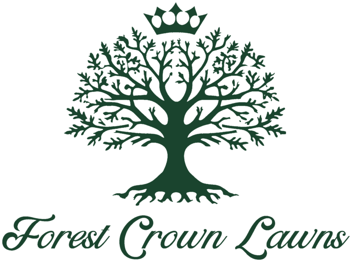 Forest Crown Lawns &mdash; a crowned oak tree